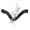 CAUTEX 486248 Radiator Hose